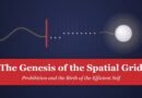 The Genesis of the Spatial Grid